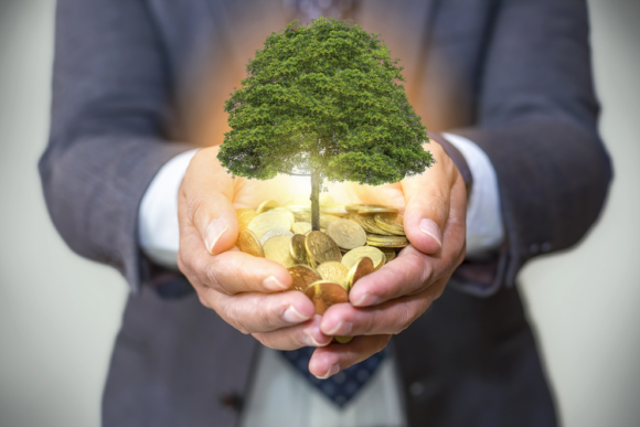 Understanding the Bible