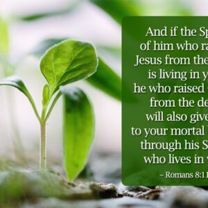 The Resurrection Power – The Power of Sonship